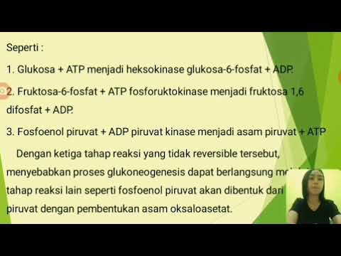 Video: Perbezaan Antara Glikolisis Dan Glikogenolisis