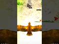 $10,000 DIAMOND HUNT with BIRD OF PREY