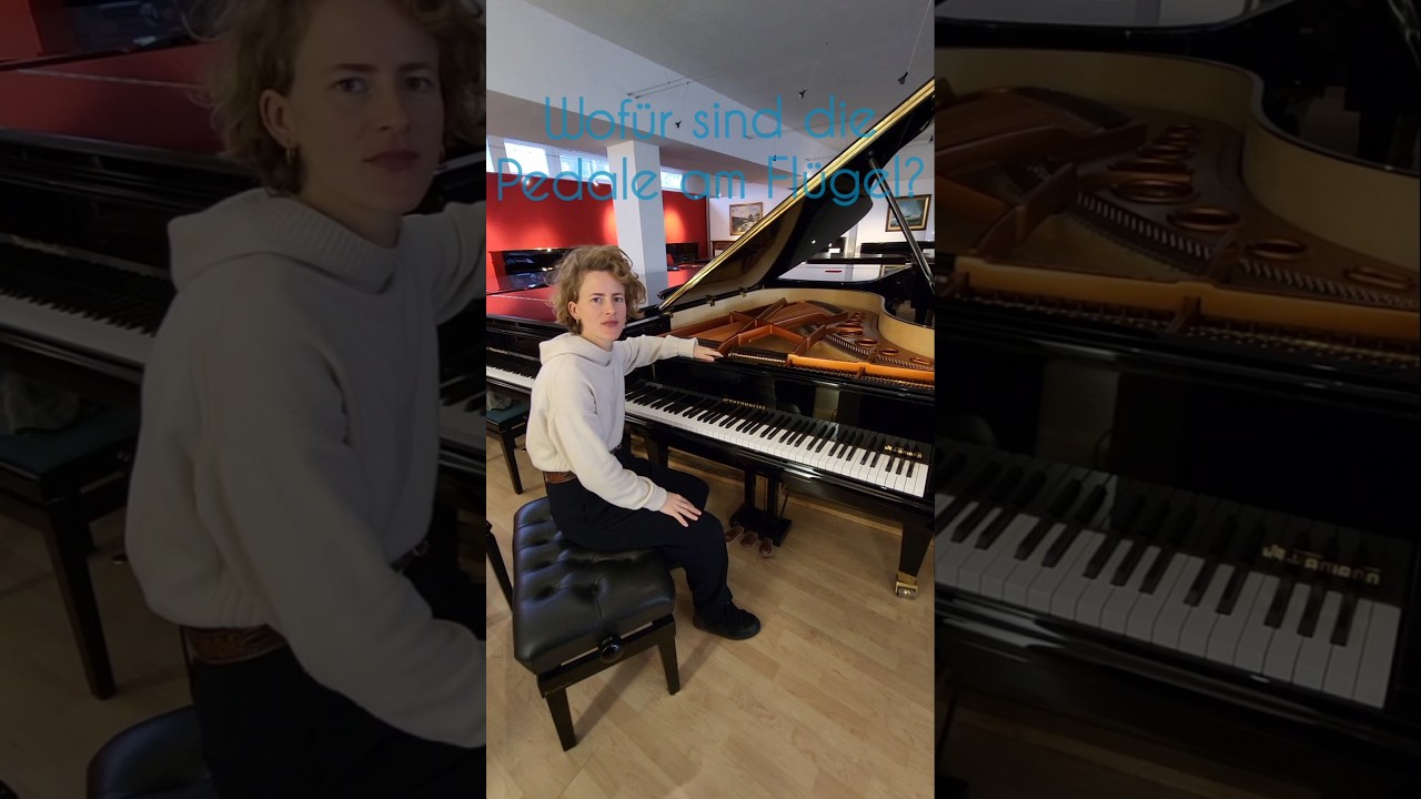 Funktion der Pedale am Klavier / Flgel  Ratgeber fr Klaviere Hamann