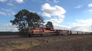 KCS 4165 4101 Lead a Northbound UP Empty Grain Train Columbia, IL 10/21/2017