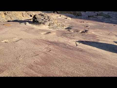 Purple Sand Beach: Pfeiffer Beach at Big Sur, California (4K VIDEO QUALITY)