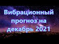 Вибрационный прогноз  на декабрь 2021 года