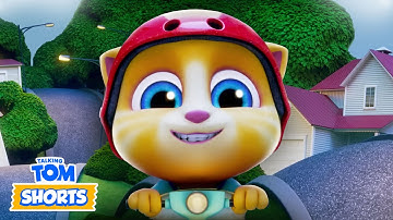 🧭 Secret Treasure Hunt 🧳 - Talking Tom Shorts (S2 Episode 41)