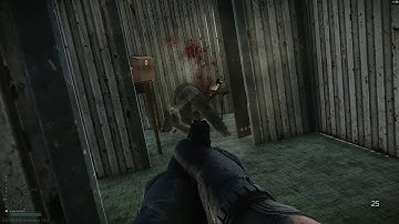 Mission: Kill 3 PMC with Pistol