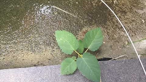 Usability Testing 3 for Iteration 2