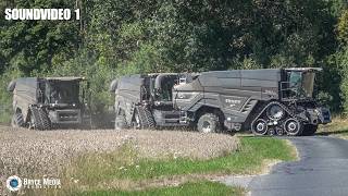 Ernte 2025 mit besonderer Einheit an Erntetechnik! 3x Fendt IDEAL 10 T & Westhoff mit Weißer Raupe