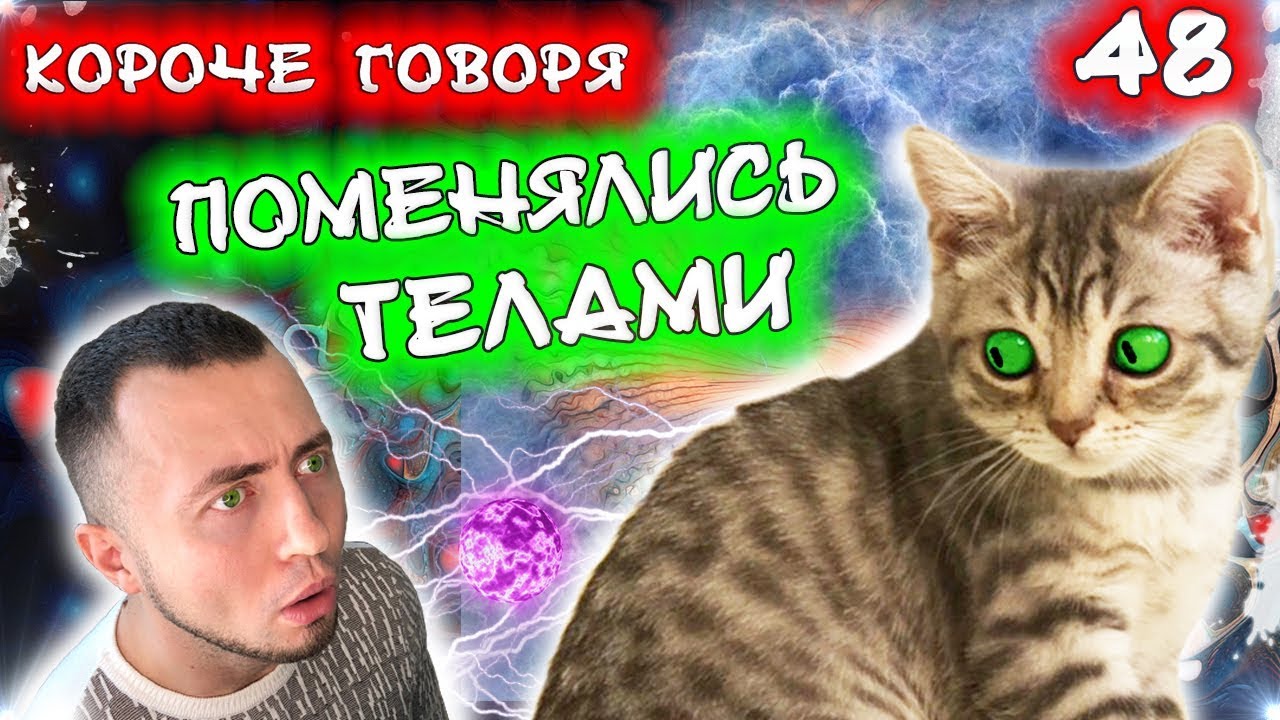 Котенка раздавила машина