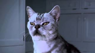 Litter Genie™ Plus Cat Litter Disposal Systems at Bed Bath & Beyond Litter Genie™ Plus Cat Litter Disposal Systems at Bed Bath & Beyond