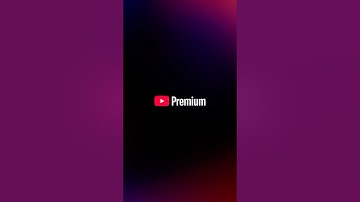 How to get search results on YouTube using AI powered carousels
