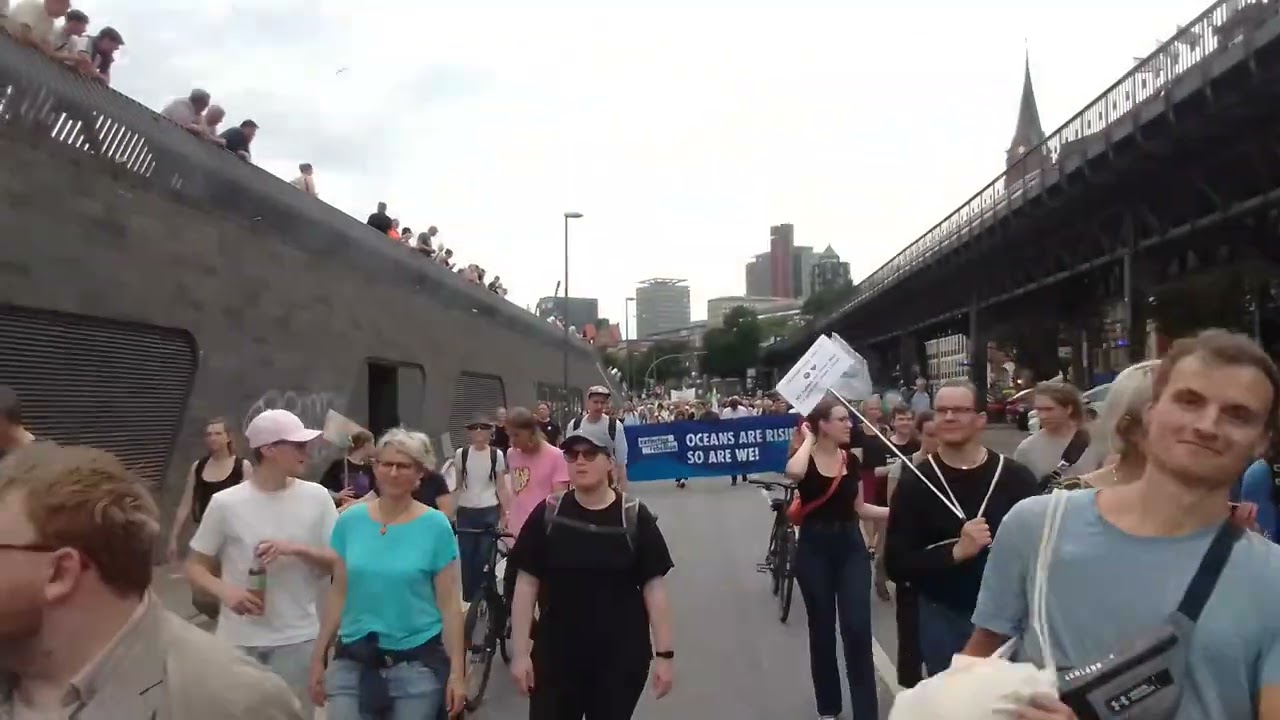 Demo Fridays for Future auf dem Demozug zum Rathaus Hamburg Teil 2