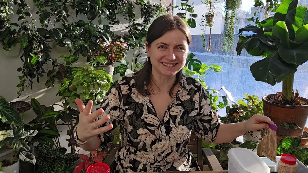 Удобрения и обработки растений