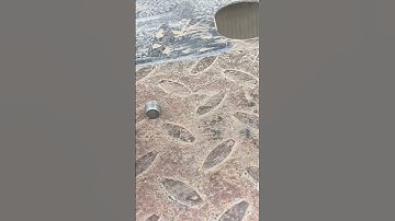 crankcase filter.fault code 0555 | crankcase filter se engine oil leakage ho raha hai #truck