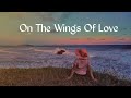 On The Wings Of Love - Nadine Lustre, James Reid (lyric) terjemah