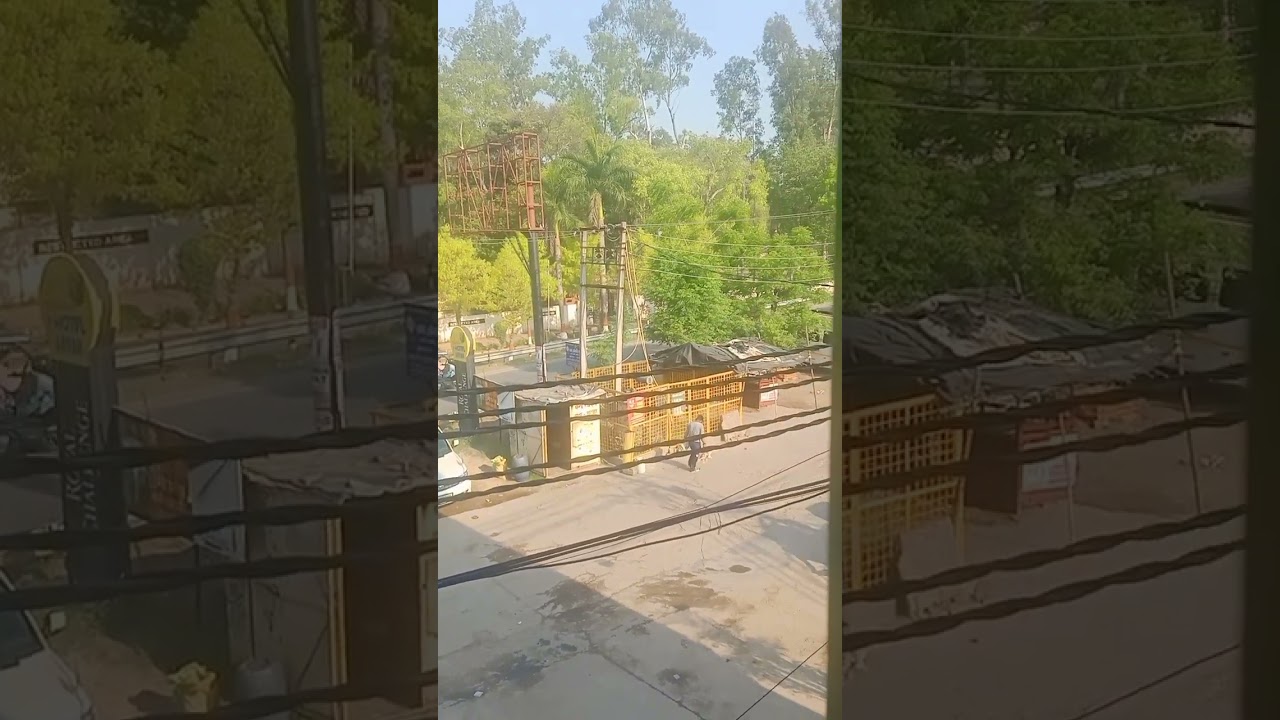 PETA India paid workers in Roorkee: Poultry needs protection and rescue