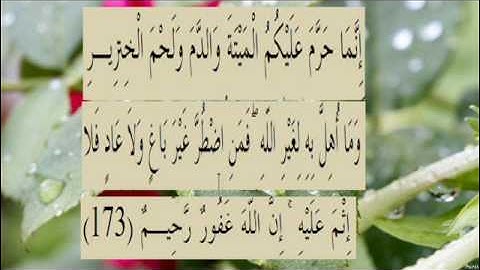 القران الكريم سورة البقرة الاية 173