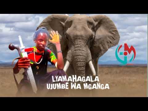 LYAMAHAGALA UJUMBE WA MGANGA GOOD MUSIC 2025