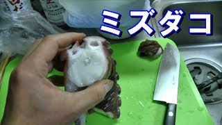 青森の漁師からミズダコを貰ったので刺身にする　Sashimi of the big octopus