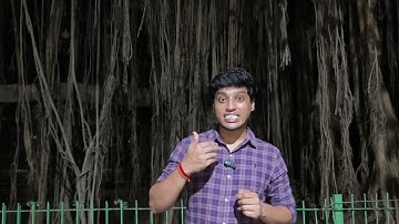 MBA Admission Process Information For 2026 #msubaroda #msuniversity #msu #mba #agsu #bba #bcom 