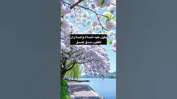 ومن الأذكار التي إذا قلتها أدخلك الل ه الجنة وغرس لك فيها نخلا وأعطاك من كنوز الجنة 