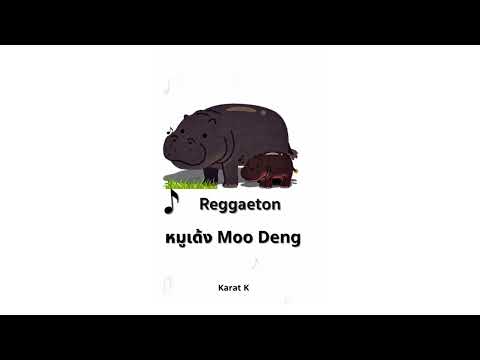 หมูเด้ง Moo Deng Reggae
