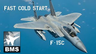 Quick Cold start F-15C Tutorial | Falcon BMS
