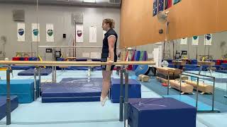 Level 2 P Bars