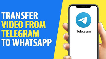 How to Transfer Video from Telegram to Whatsapp