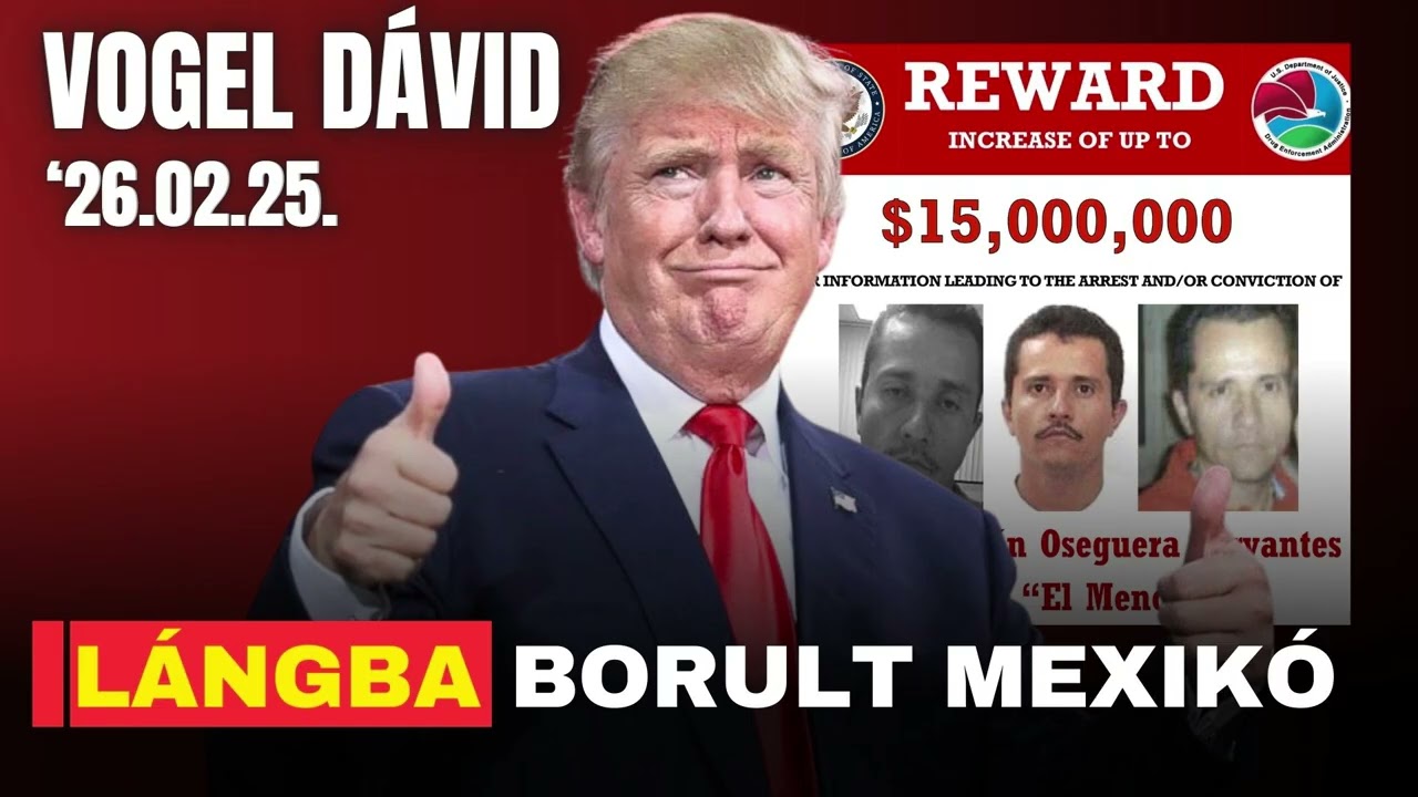 Brutális leszámolás: ki veszi át a hatalmat a drogbirodalomban?  - Vogel Dávid