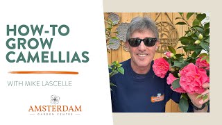 How to Grow Beautiful Camellias: Expert Tips & Pruning Advice