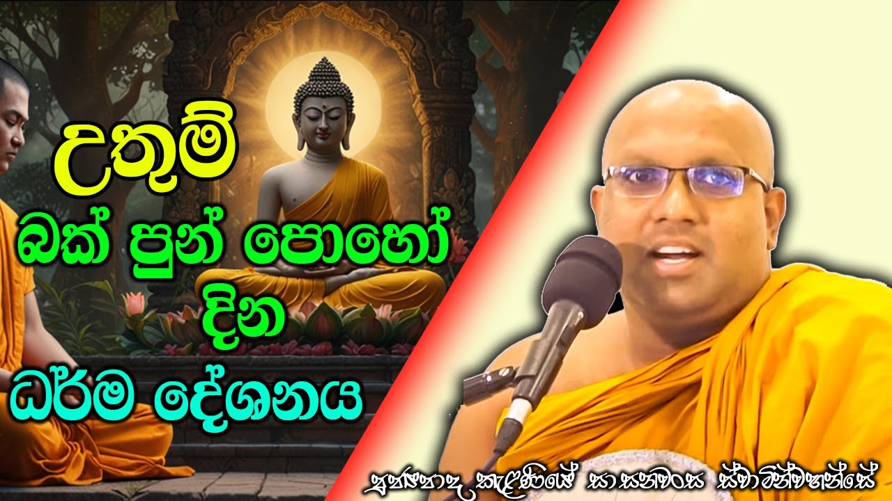 උතුම් බක් පුන් පොහො දින ධර්ම දේශනාව | Kelaniye Sasanawansa Thero | Mindful Wisdom 