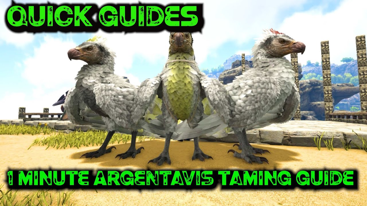 Ark Quick Guides Argentavis The 1 Minute Taming Guide! YouTube