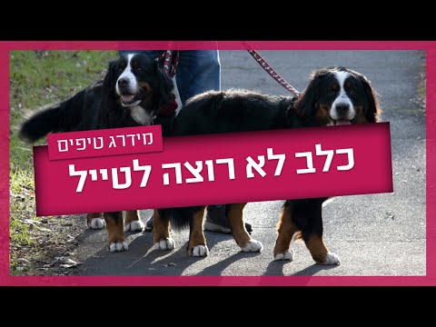 וִידֵאוֹ: כיצד להפסיק להיות הומופוביים: 13 שלבים