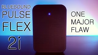 Bluesound Pulse Flex 2i Wireless Speaker Review