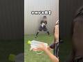 ペットボトル水鉄砲