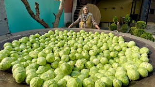 We Cooked Cabbage Masala For 1000 People