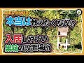 【入居しやすい巣箱の設置場所】ポイント解説と注意事項　日本みつばちの養蜂 How to Beekeeping