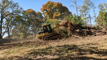 Cat 953C Busting Some Trees!