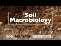 Soil Basics: Soil Macrobiology