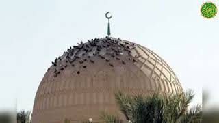 ۞من كنوز التلاوات۞الشيخ محمود عبد الحكم رحمه الله ۞سورة فاطر