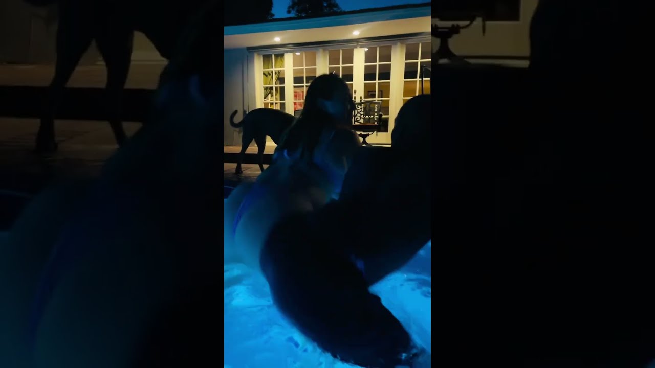 Twerk Pool