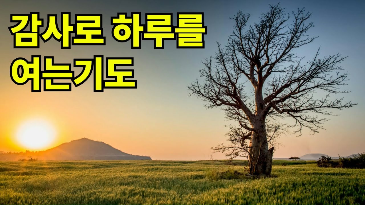 축복의 감사 아침기도 | 감사로 하루를 시작하는 기도 |아침을 여는 기도 |아침기도 |감사기도 |하루를 여는 기도 | 하루시작기도 |아침시작기도 |1시간 기도