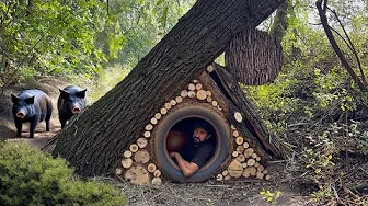 Building a cozy shelter from clay and an old wheel to survive in a wild boar's lair
