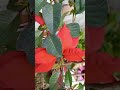 la hermosura de la naturaleza sólo en éste canal de Youtube