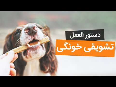 تصویری: خطرات جلوگیری از حین پخت غذاهای خانگی سگ