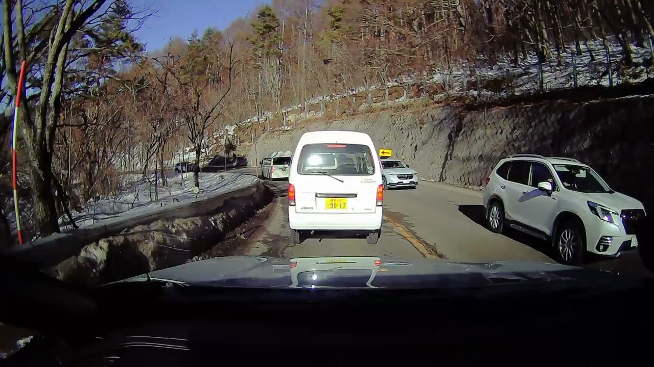 志賀高原あるあるー猿軍団には気をつけてー