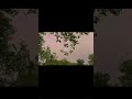 Ranjhana 🌿🤌. #like comment subscribe 👍. short type video 📷⚡