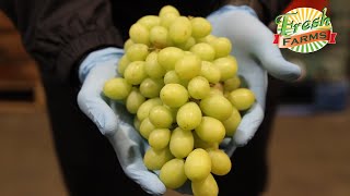 Sweet Globe Grapes - Weekend Winners - 5.14.20 - Item 2