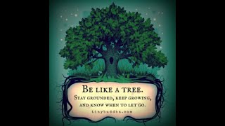 Complimentary Lunch & Learn Webinar 19. Getting Ready For New Beginnings