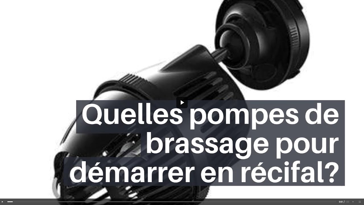 Quelles pompes de brassage pour démarrer en récifal ?