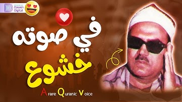 تلاوة عذبة وخشوع يأخذك لعالم آخر مع قارئ القلوب الشيخ أحمد الديب